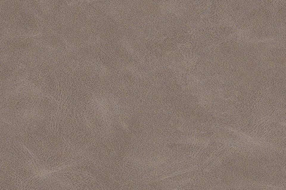 Taurus Grayish Taurus Grayish