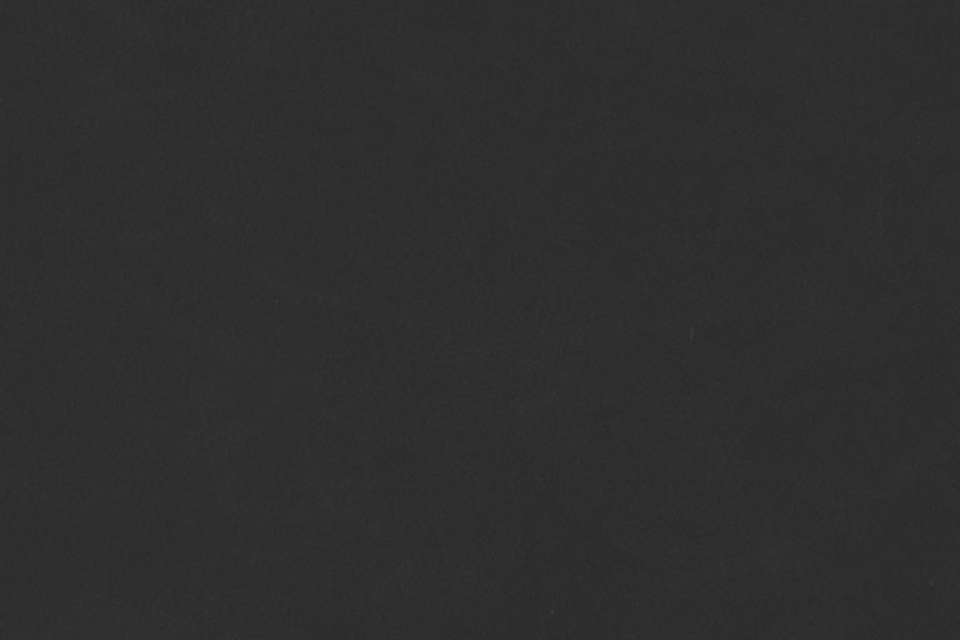 Taurus Black Taurus Black