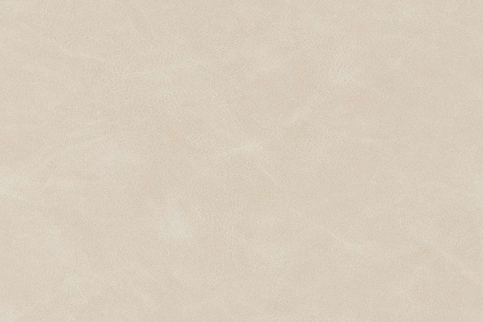 Taurus Light Putty Taurus Light Putty