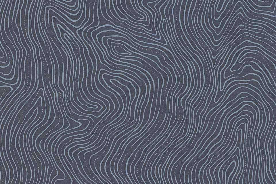 Topography Superior