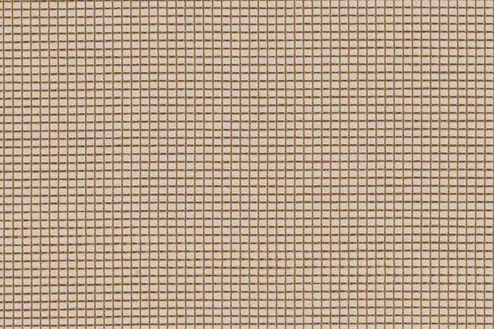 Zoom Forward Zoom Forward