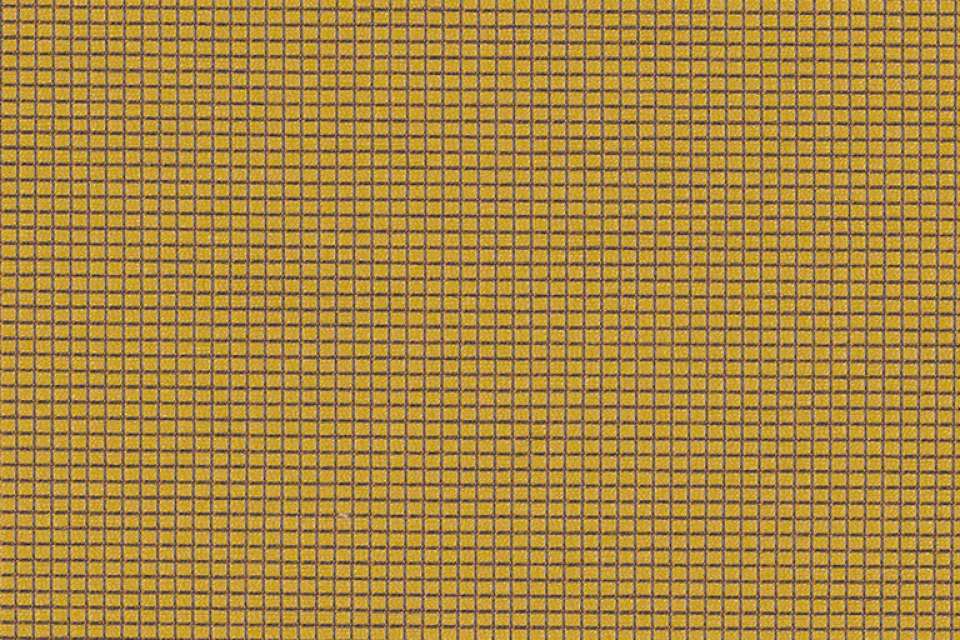 Zoom Buzz Zoom Buzz