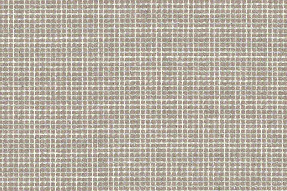 Zoom Neutral