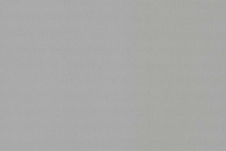 Nevamar Silver Dollar