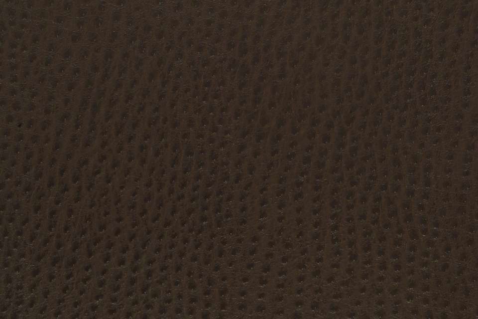 Outback Java