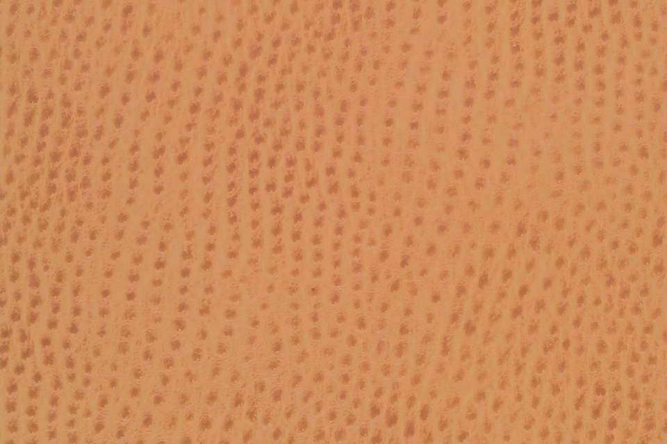 Outback Spice