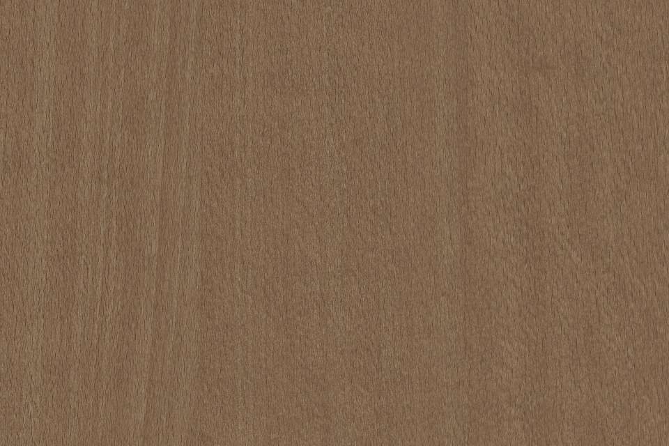 Chestnut on Beech