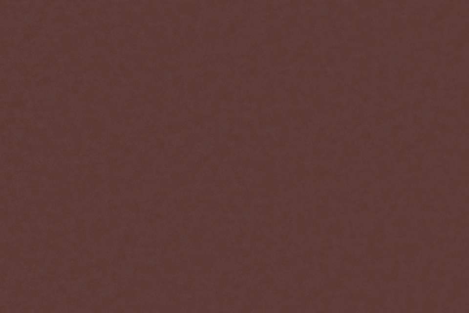 Solace Elderberry
