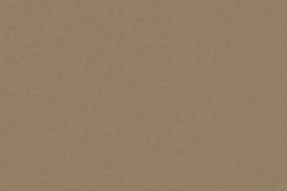 Solace Latte