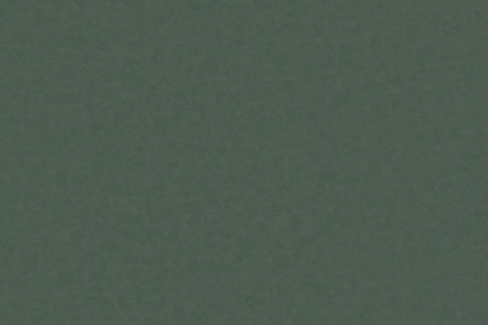 Solace Spruce