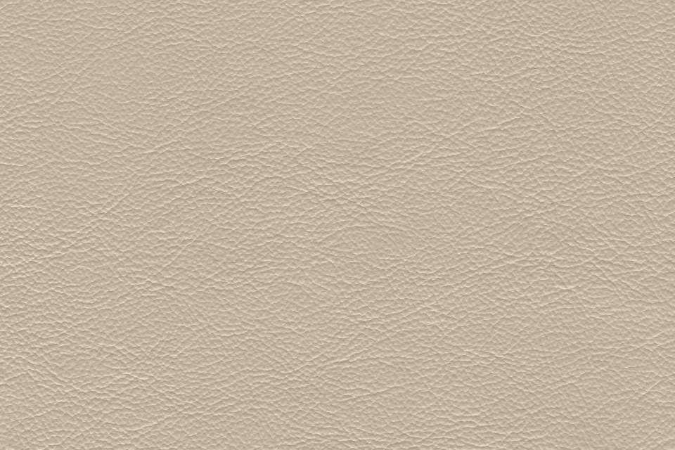 Safari Signature Ivory