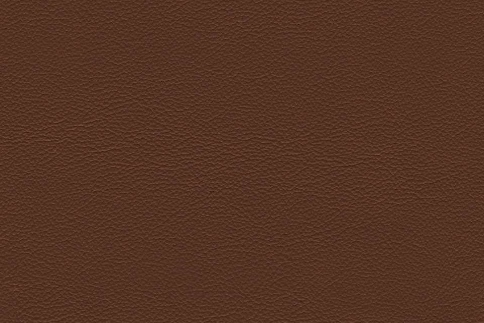 Safari Signature Sienna