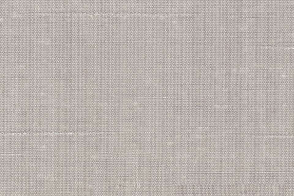 Organza Ash Organza Ash