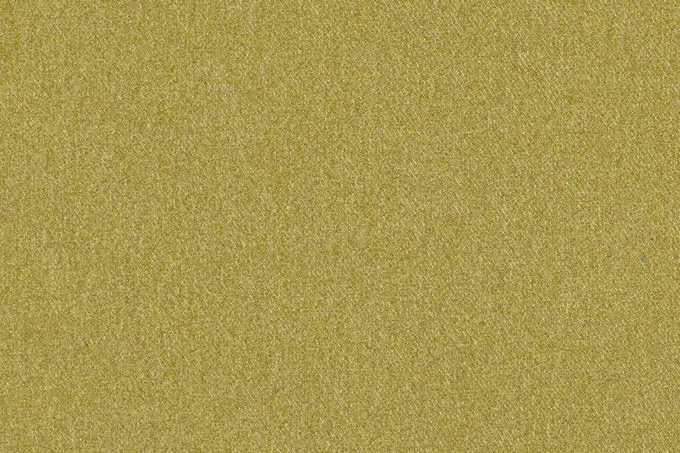 Outlander Fern Outlander Fern