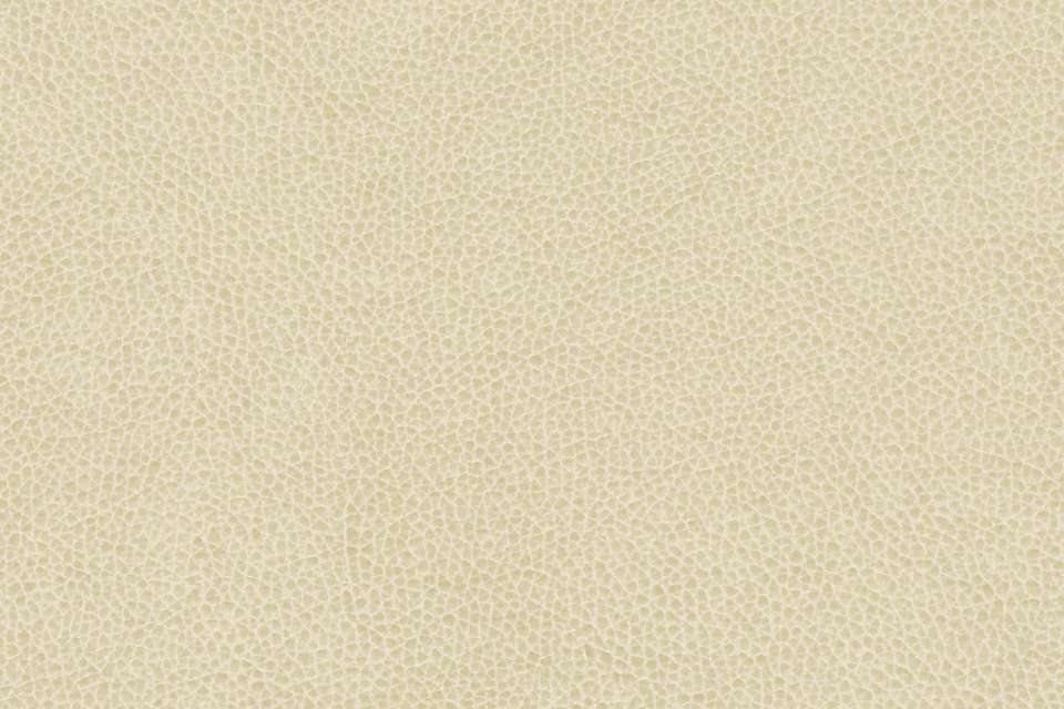 Palermo Ivory Palermo Ivory
