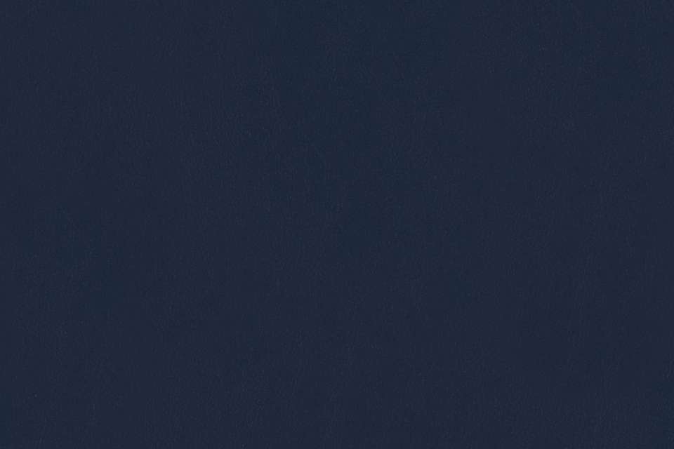 Prospect Navy Prospect Navy