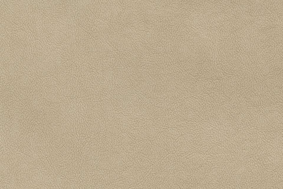 Palomino 1 Palomino 1