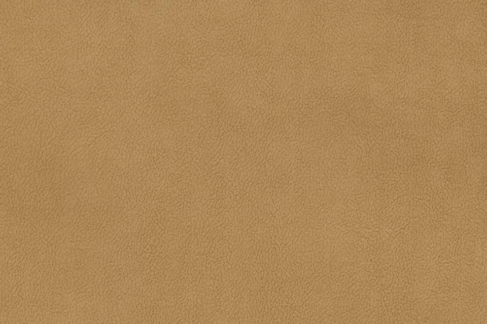 Palomino 4 Palomino 4