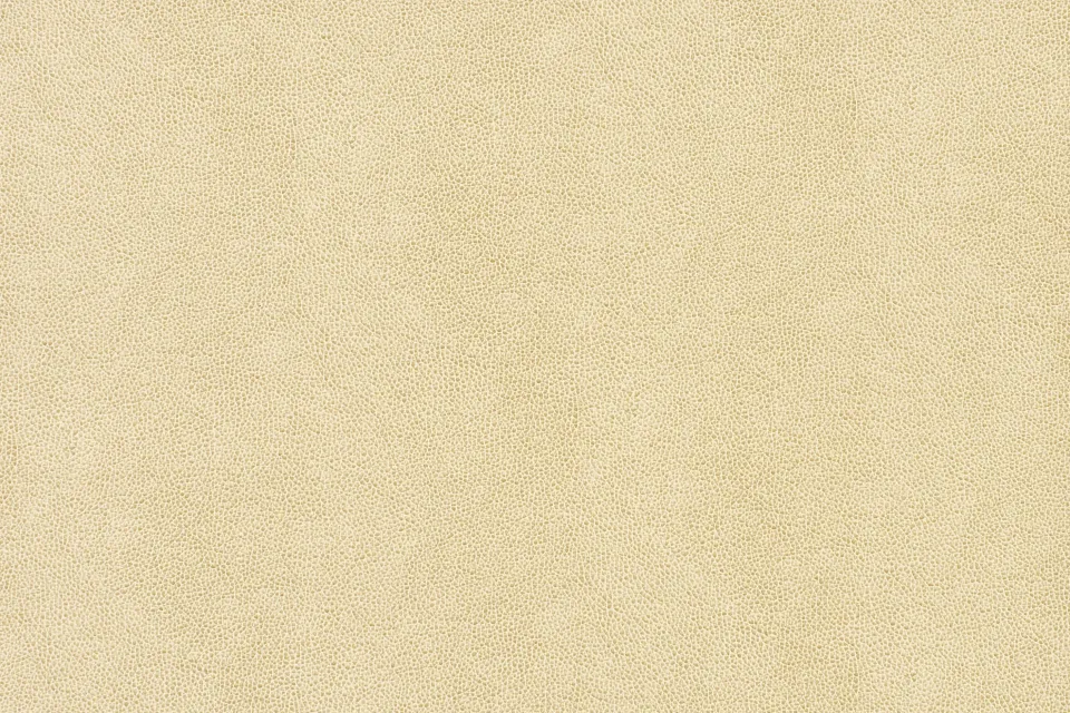 Pebbled 2.0 Parchment