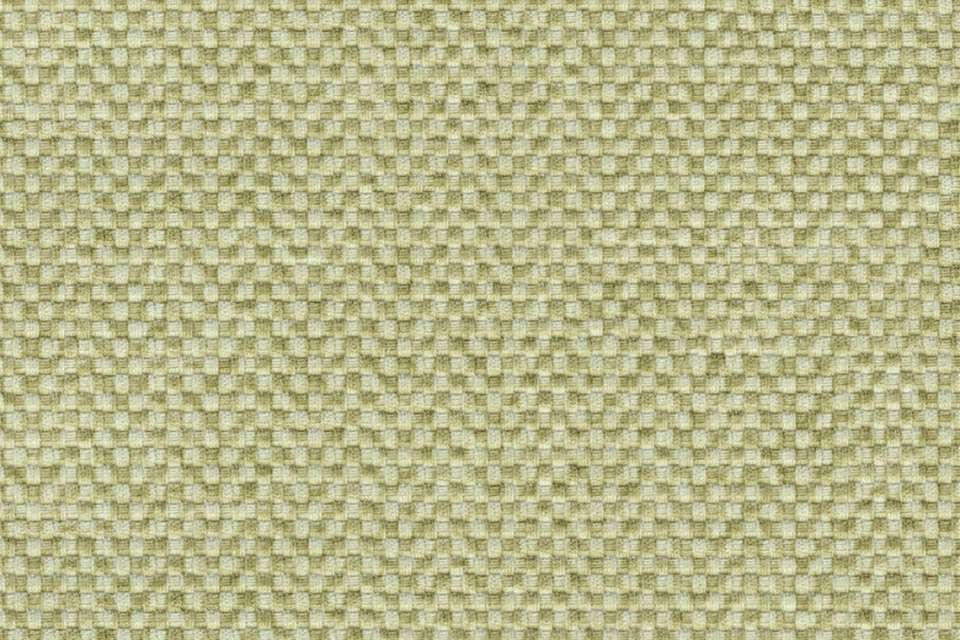 Poplin Limeade Poplin Limeade