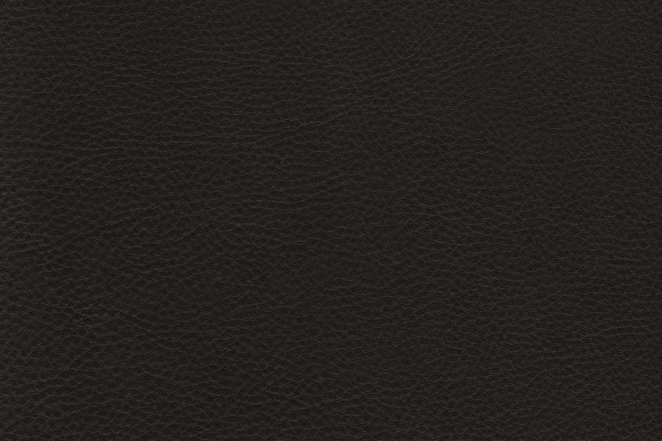 Prince Leather Castellan