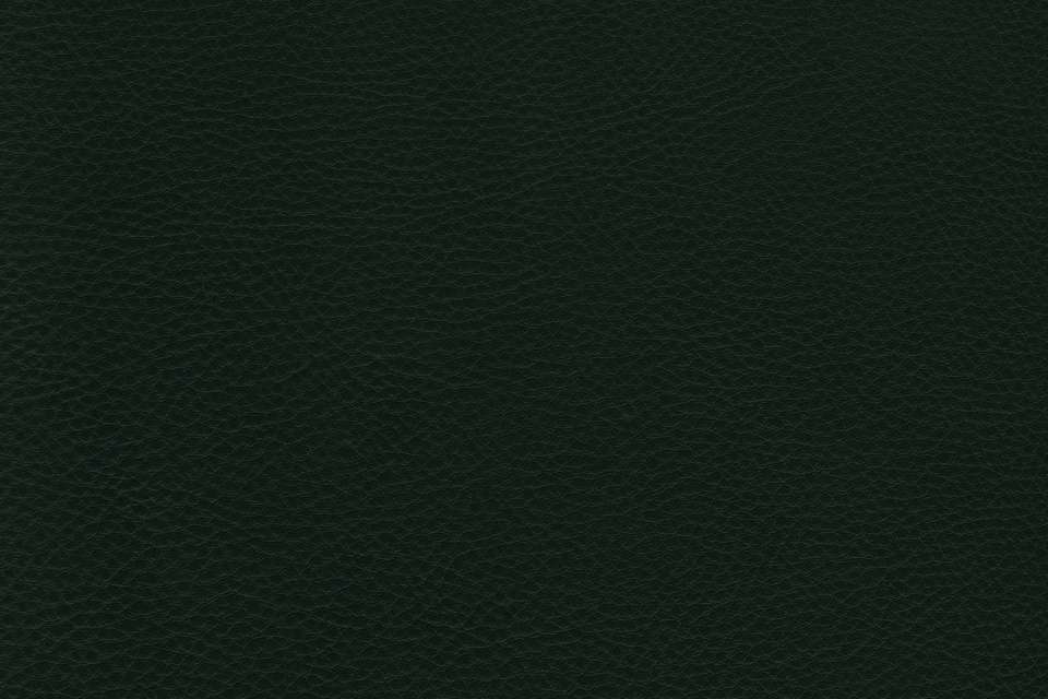 Prince Leather Shire