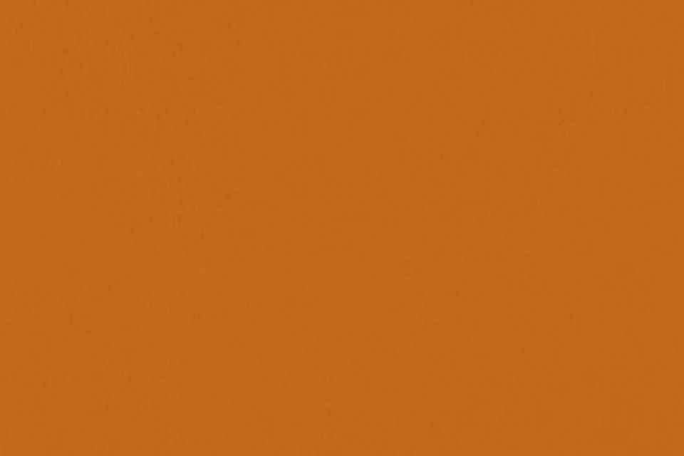Prospect Tangerine