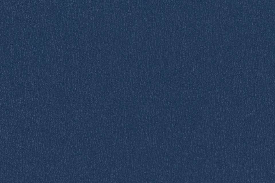 Ryder Deep Sea