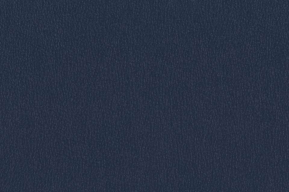 Ryder Navy