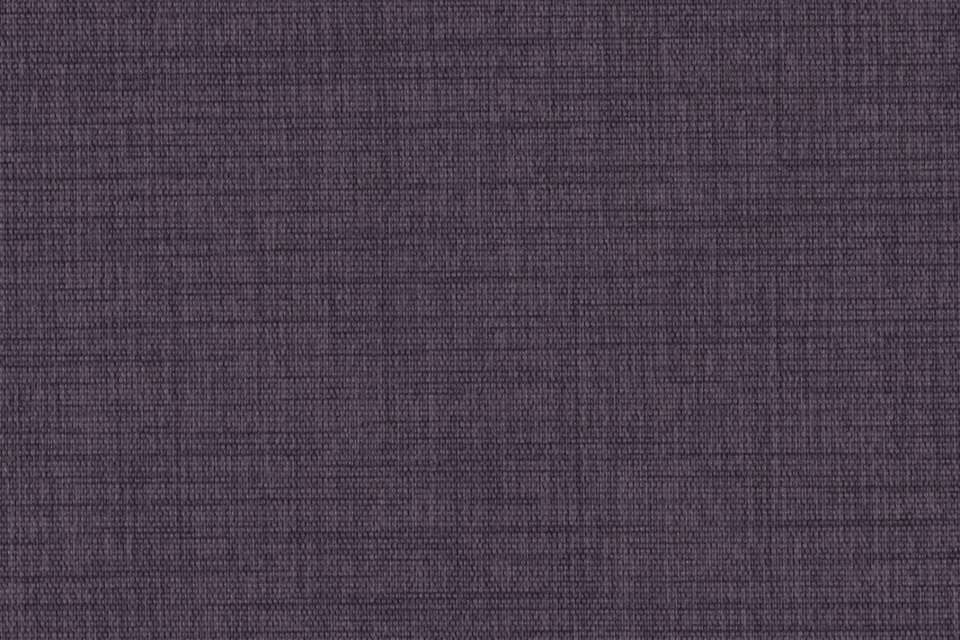 Sketch Violet Sketch Violet
