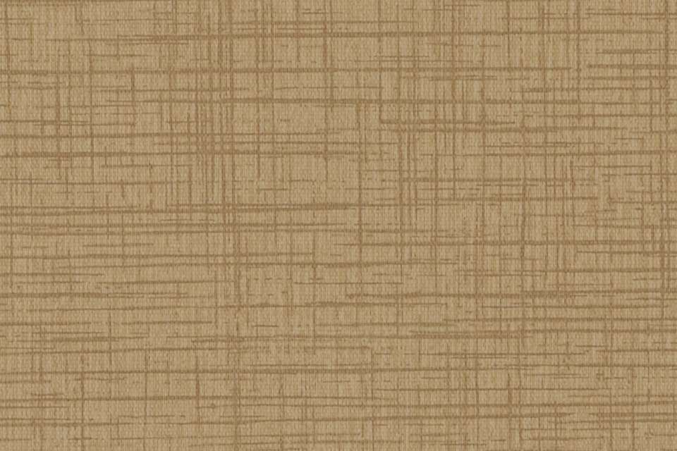 Sketch Flax