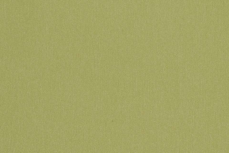 Silverweave Willow