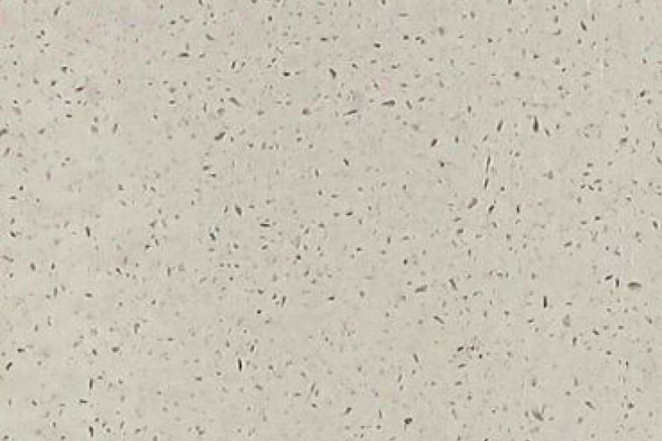 Salt Flats