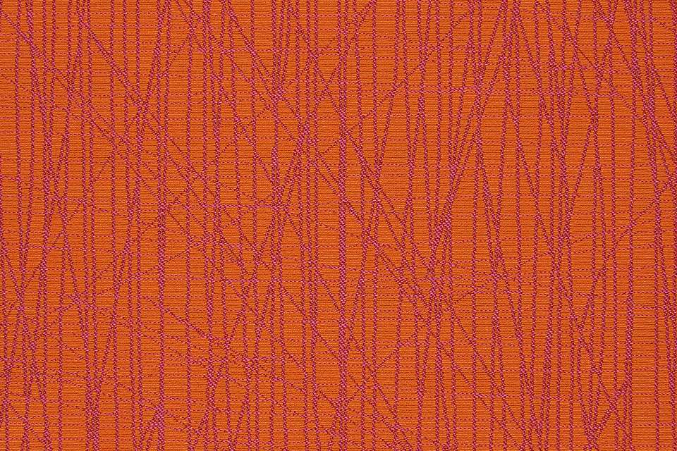 Scribble Xs Orange Scribble Xs Orange