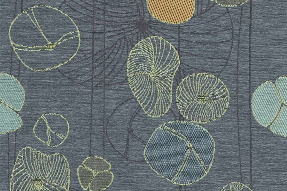 Seabed Honolulu Beach