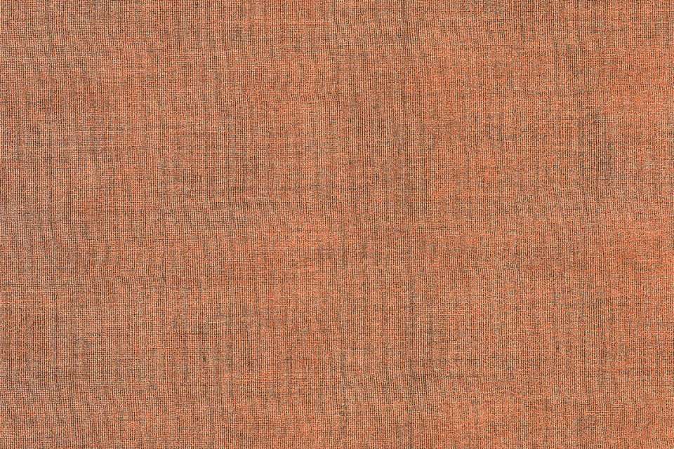 Sharkskin Bramble