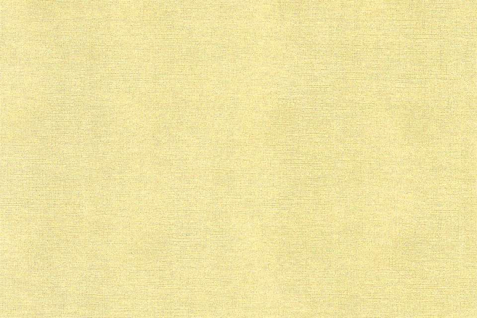 Sharkskin Frilled Sharkskin Frilled