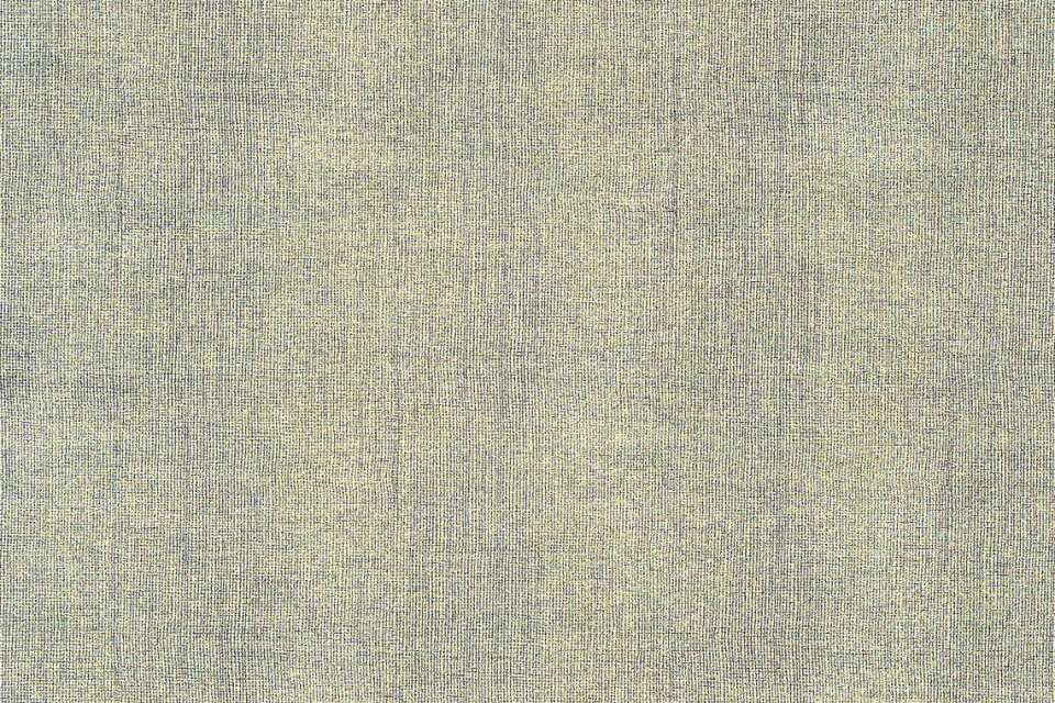 Sharkskin Shortfin Sharkskin Shortfin