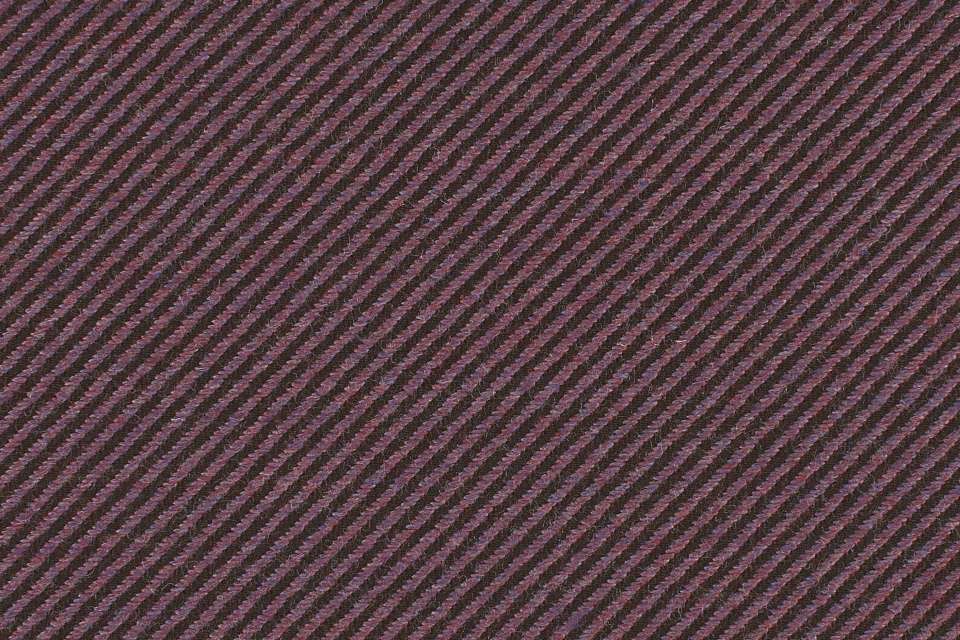 Sideways Violet Sideways Violet