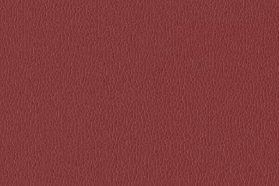 Silica Leather Shiraz