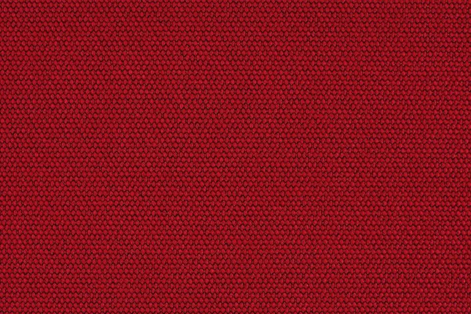 Sister Solid Scandalous