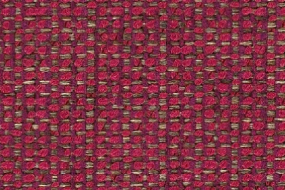 Spindle Mulberry