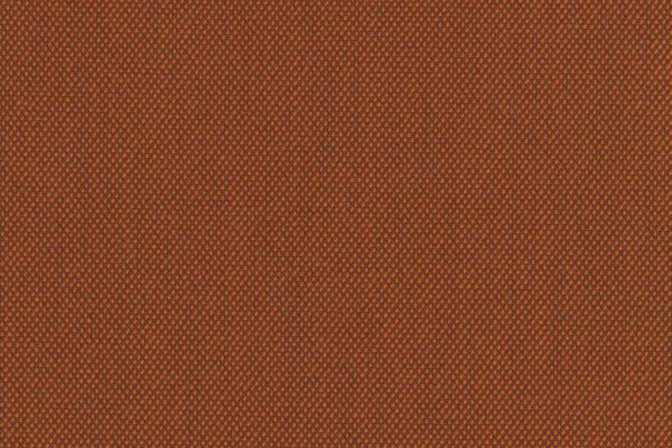 Steelcut Trio 3 0576