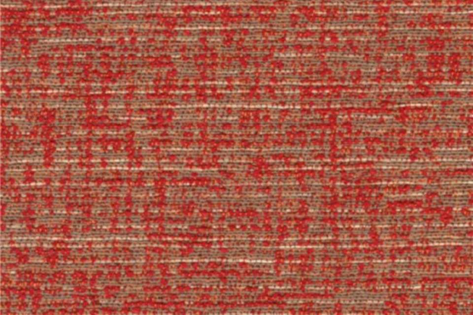 Surface Tomato Surface Tomato