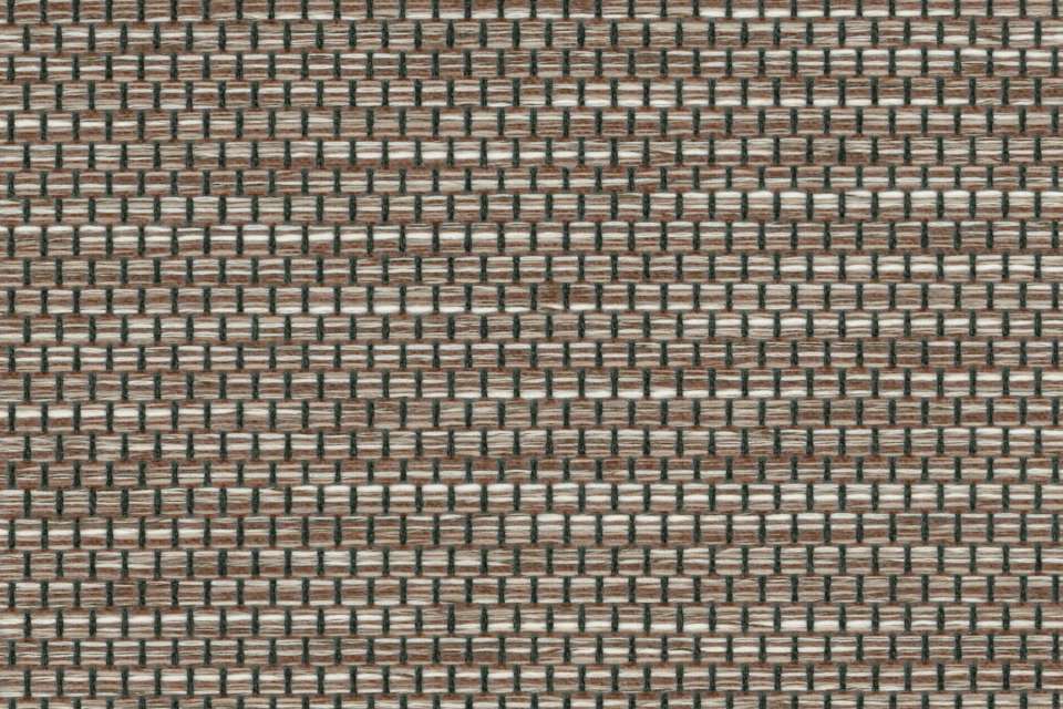 Relativity Mocha Relativity Mocha