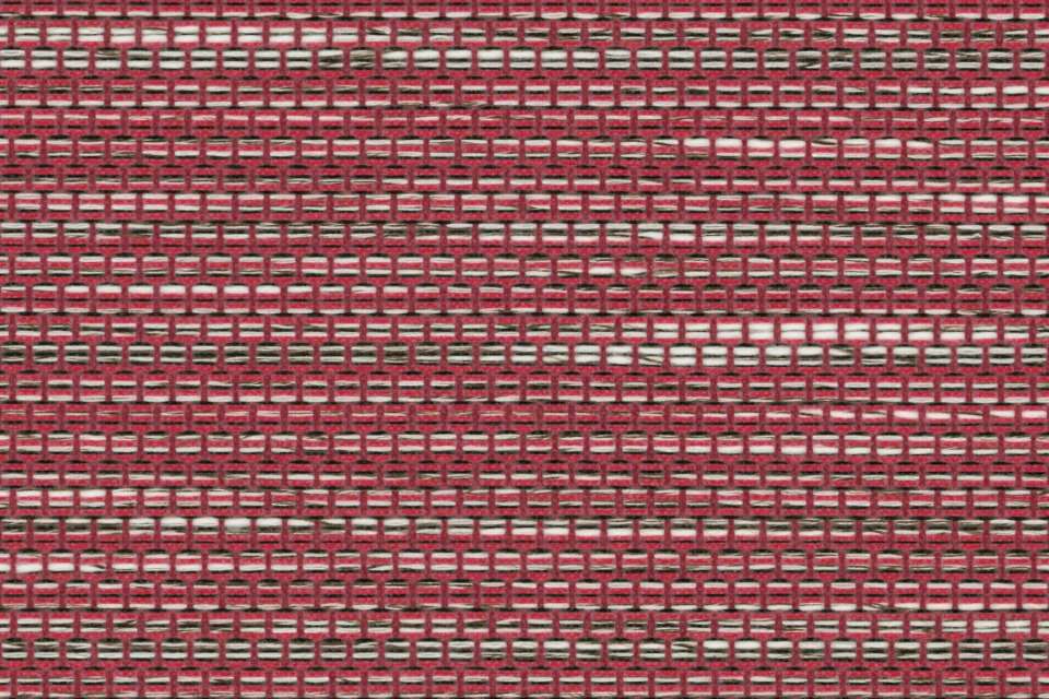Relativity Carmine Relativity Carmine