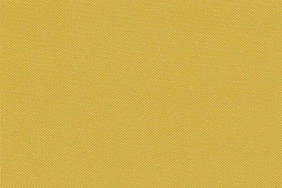 Tailor Made Canary Tailor Made Canary