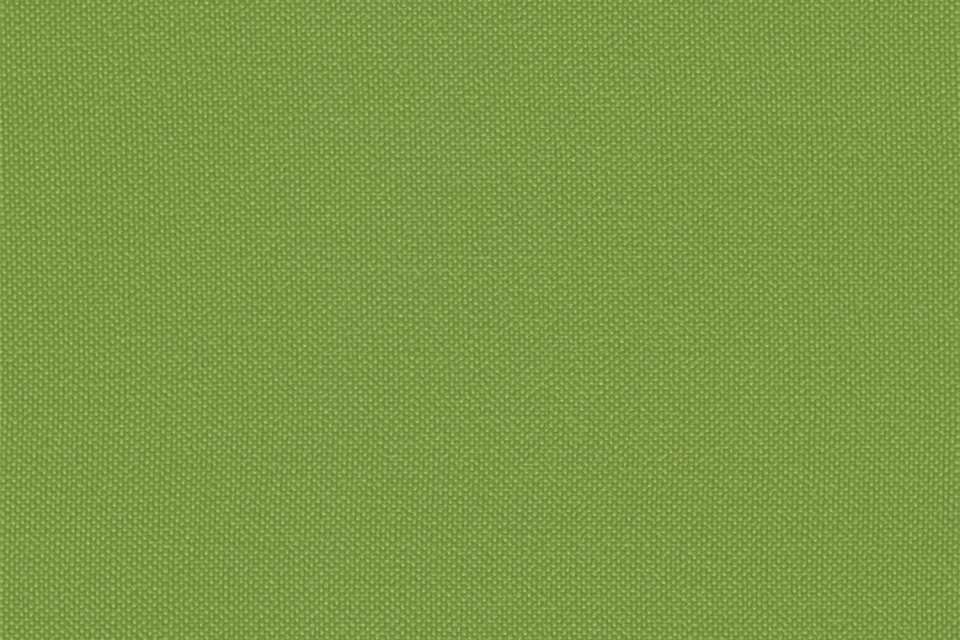 Tailor Made Shamrock Tailor Made Shamrock