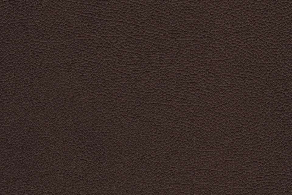 Tango Truffle Tango Truffle