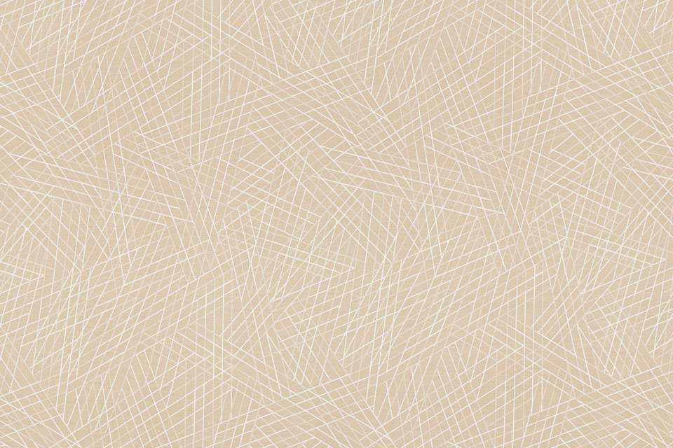 Vector Suede Vector Suede